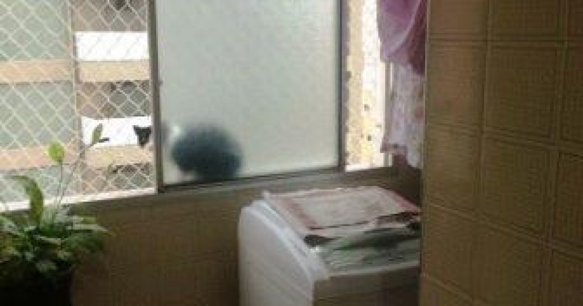 Apartamento Ensolarado Voluntários da Pátria. - Foto 5 de 14