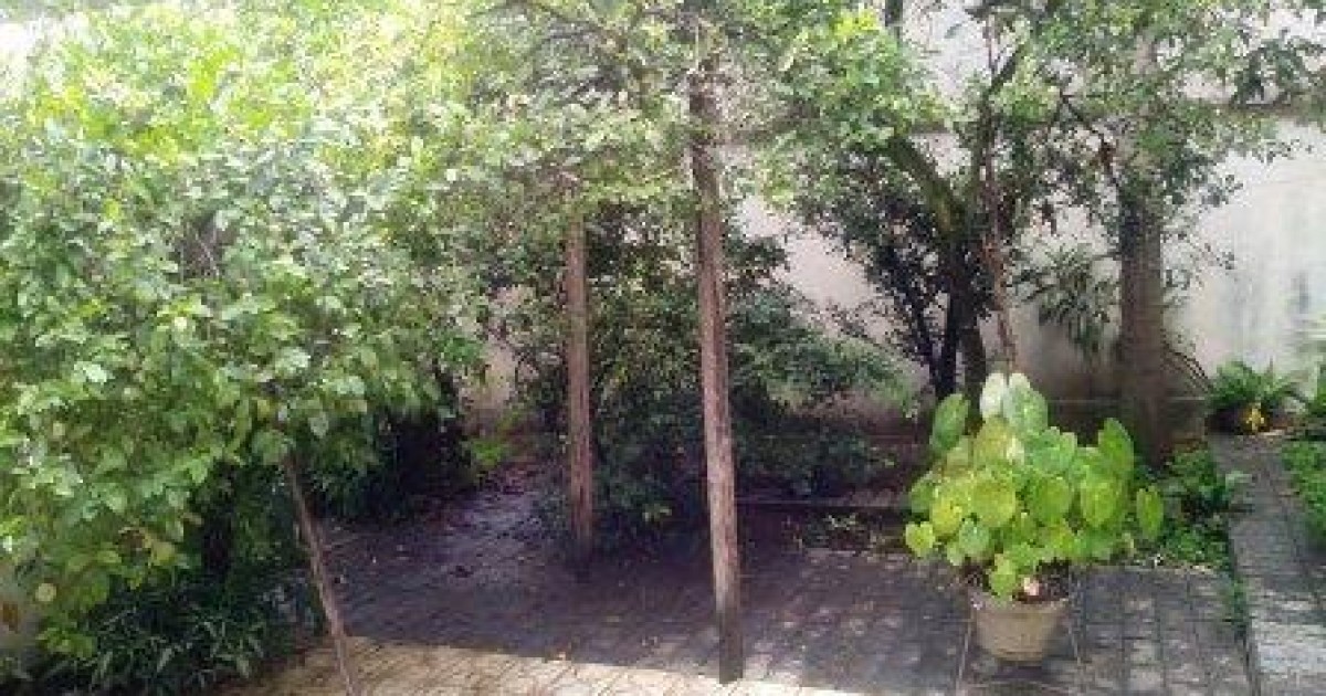 Casa Assobradada Bairro do Limão  - Foto 3 de 18