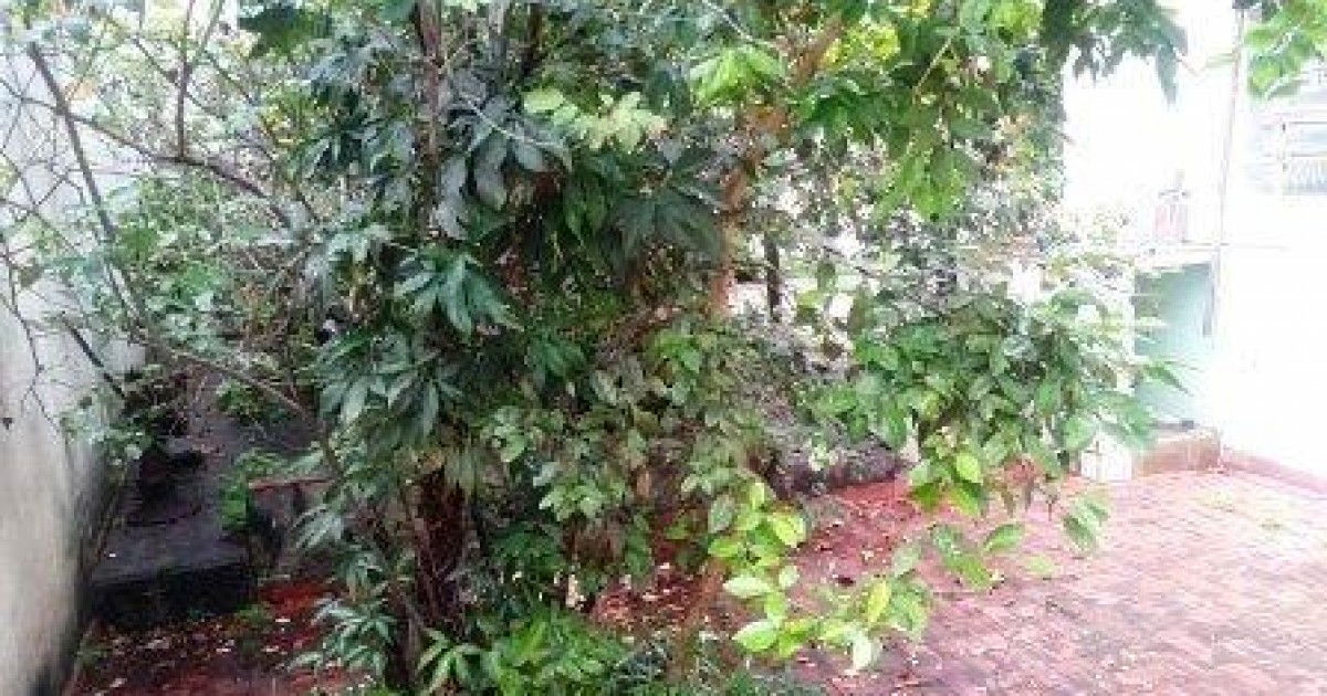 Casa Assobradada Bairro do Limão  - Foto 4 de 18